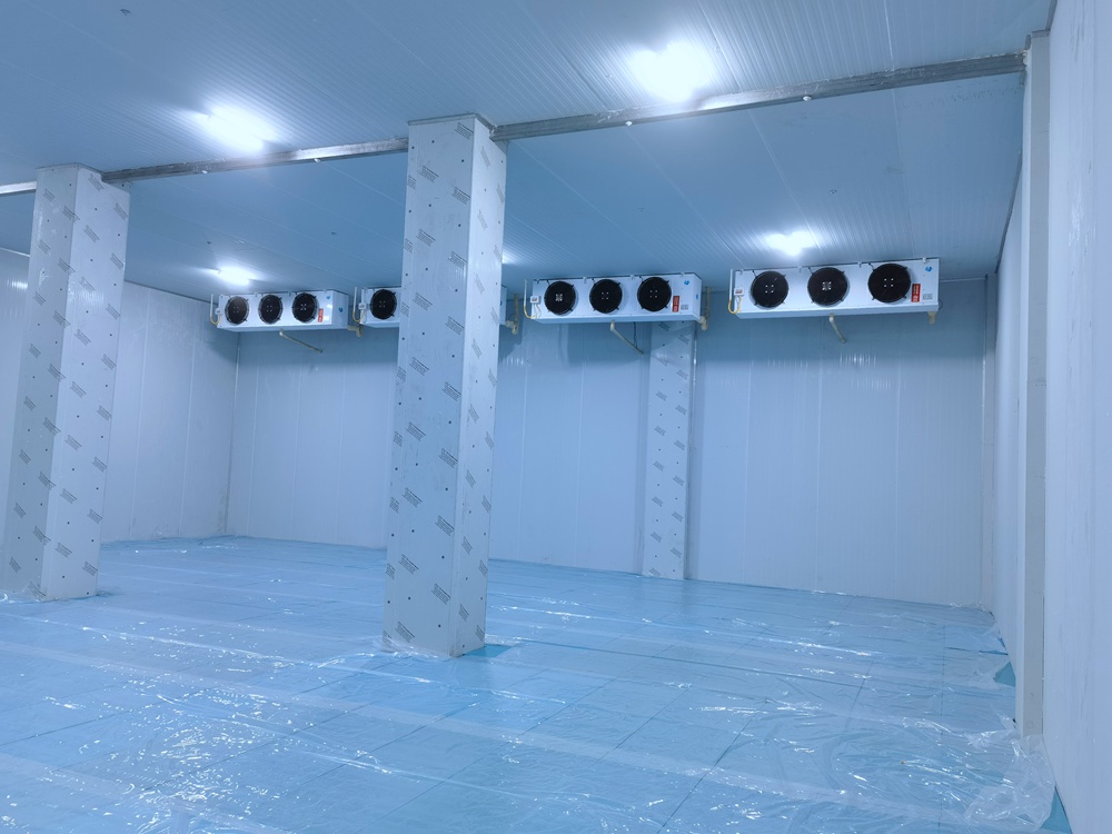 貴州新中一種業(yè)股份有限公司1100立方米保鮮庫(kù)